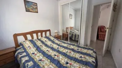 Pis – Torrevieja - Vista 3