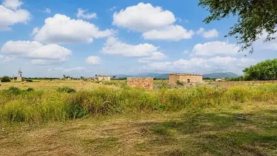 Rustic house in Muro photo 40