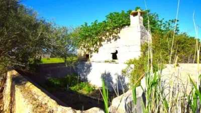Rustic house in Muro photo 8