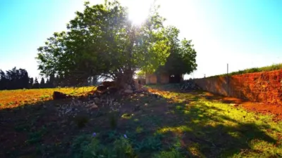 Rustic house in Muro photo 2
