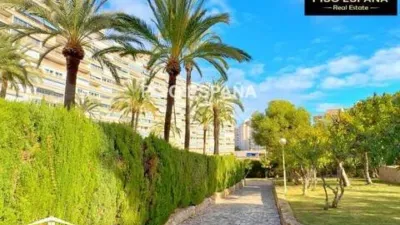 Apartment in Playa de San Juan photo 8