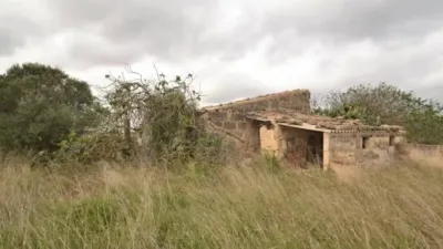 Chalet in Muro photo 5
