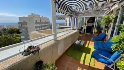 Apartment in Platja Muchavista photo 10