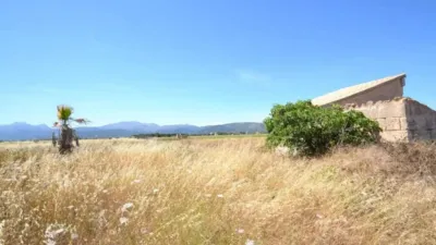 Rustic property in Muro photo 13