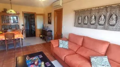 Apartment in Las Adelfas-Benicolada-Garduix photo 6