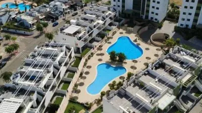 Pis – Pilar de la Horadada, Mil Palmeras, Urbanización Mil Palmeras - Vista 3