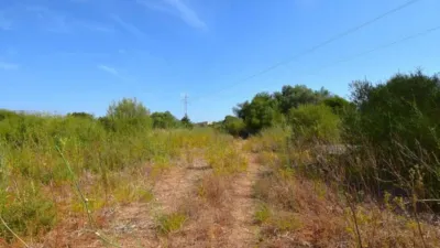Rustic house in Muro photo 14