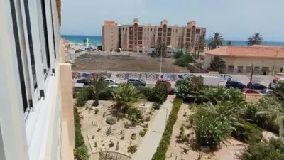 Pis – Torrevieja - Vista 5