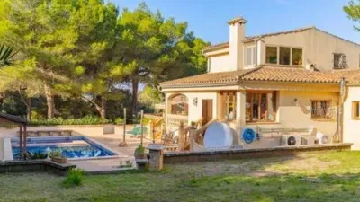 Rustic house in Platja d'Alcúdia-Port d'Alcúdia photo 35