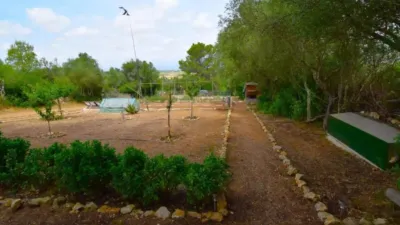 Casa rústica en Petra photo 33