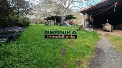 Rustic house in Barrio de Urberuaga photo 4
