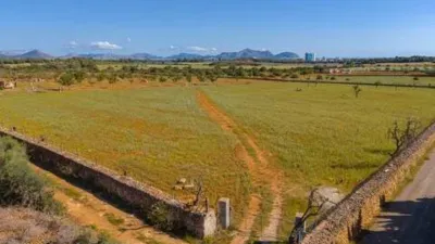 Rustic house in Santa Margalida photo 19