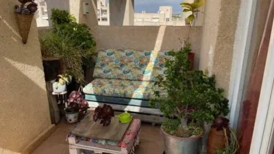 Apartment in Platja Muchavista photo 48