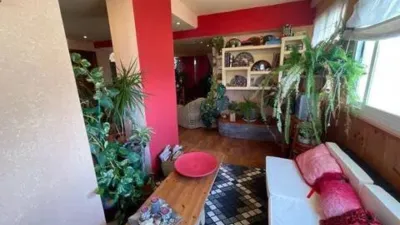 Apartment in Platja Muchavista photo 24