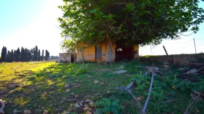 Rustic house in Muro photo 3