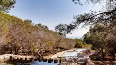Chalet in Aguas Nuevas-Torreblanca-Sector 25 photo 91