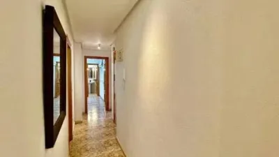 Pis – Torrevieja - Vista 4