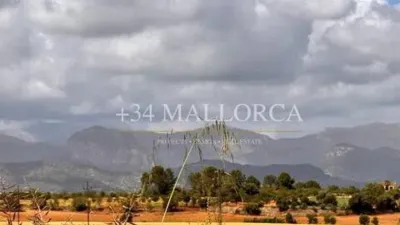 Flat in Santa Eugènia photo 2