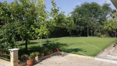 Chalet in Arcos de la Frontera photo 4