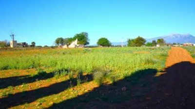 Rustic house in Muro photo 12