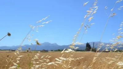Rustic property in Muro photo 7