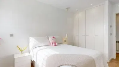 Penthouse in the City Centre photo 38
