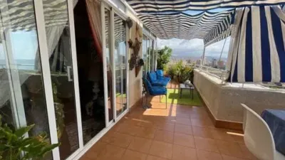 Apartment in Platja Muchavista photo 31