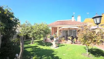 Casa – Torrevieja - Vista 2