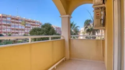 Pis – Torrevieja - Més