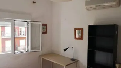Apartment in La Palmera-Reina Mercedes photo 7