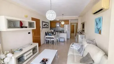 Pis – Torrevieja - Vista 4
