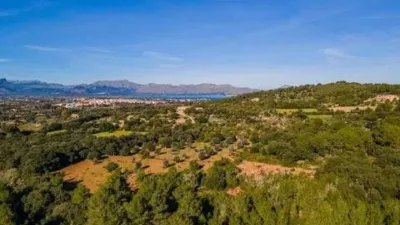 Rustic villa in Alcúdia photo 15