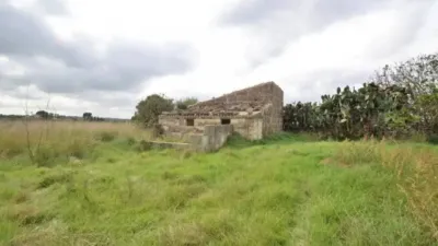 Chalet in Muro photo 2
