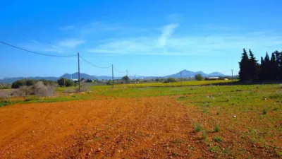 Rustic house in Muro photo 19