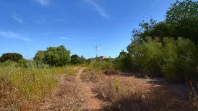 Rustic house in Muro photo 17