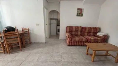 Pis – Torrevieja - Vista 2