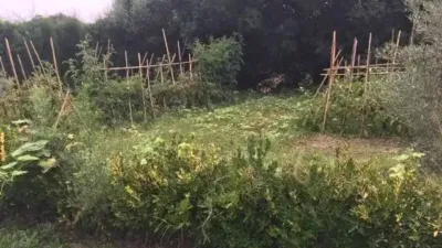 Rustic house in Santa Cristina d'Aro photo 33
