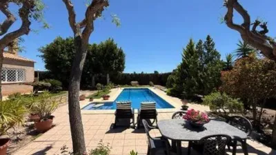 Casa – Elx / Elche, la Foia - Vista 5