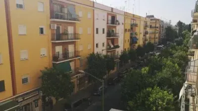 Apartment in La Palmera-Reina Mercedes photo 15