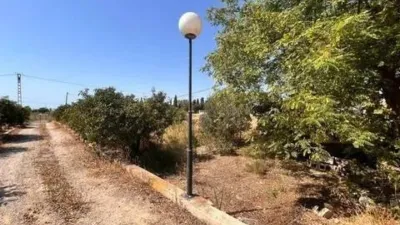 Casa – Elx - Elche - Vista 3