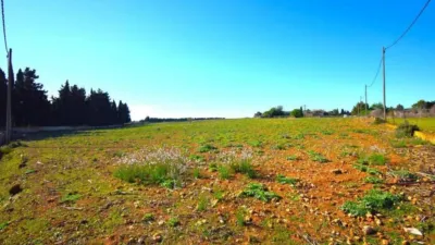 Rustic house in Muro photo 16
