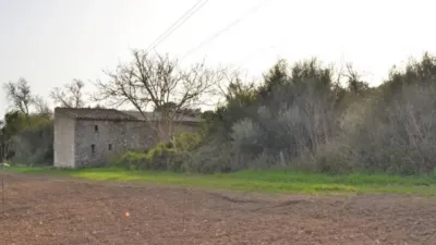 Rustic House in Muro photo 7