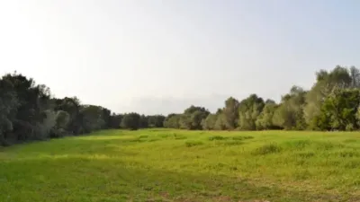 Rustic House in Muro photo 4