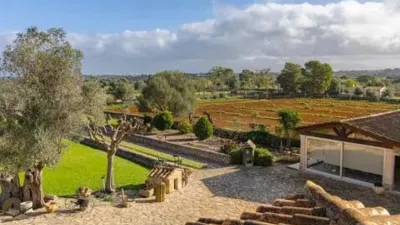 Rustic house in Santa Margalida photo 32