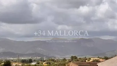 Flat in Santa Eugènia photo 32