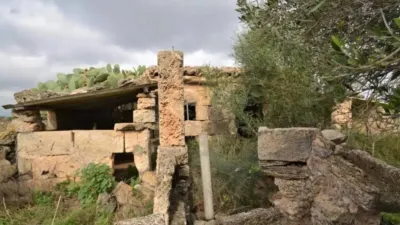 Chalet in Muro photo 8