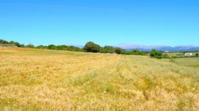 Rustic house in Muro photo 6