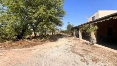 Casa – Elx - Elche - Vista 4