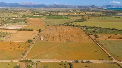 Rustic house in Santa Margalida photo 8