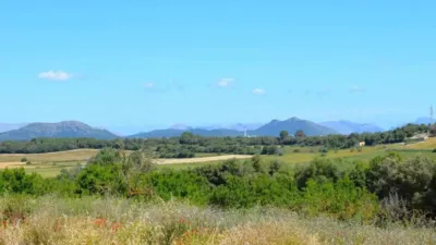 Rustic house in Muro photo 17